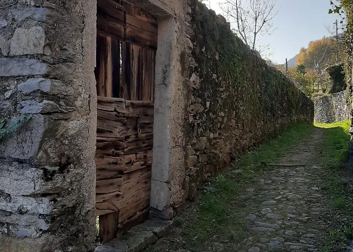 Residenza Le Camelie Apartamento